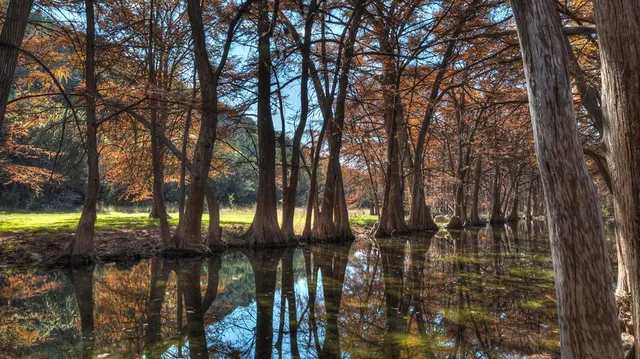 $629,000 | 6608 North N Highway, Leakey, TX 78873