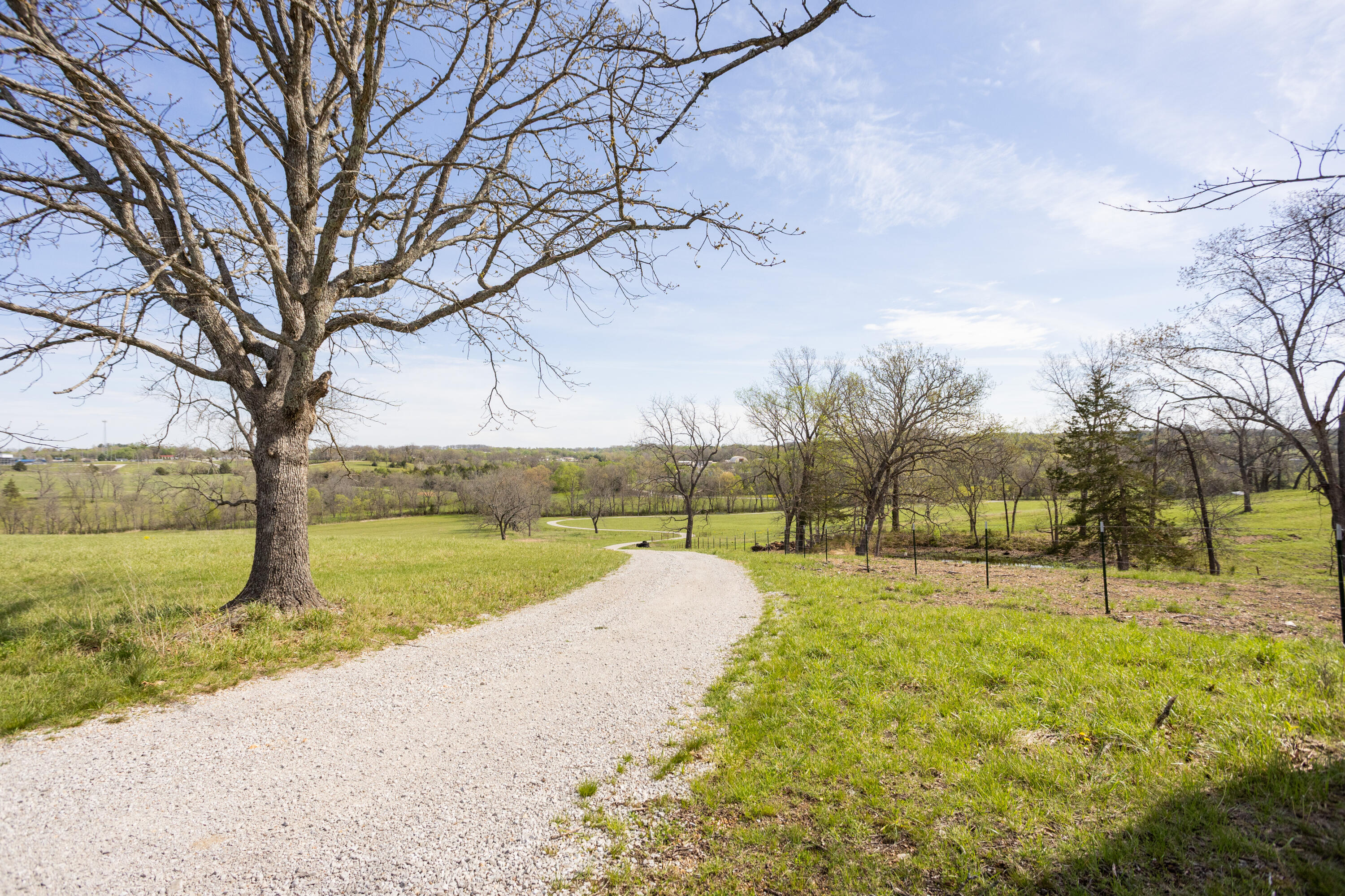 9795 Co Road Ava, MO 65608 - Photo 31 of 93 Douglas198(MLSRES)-16