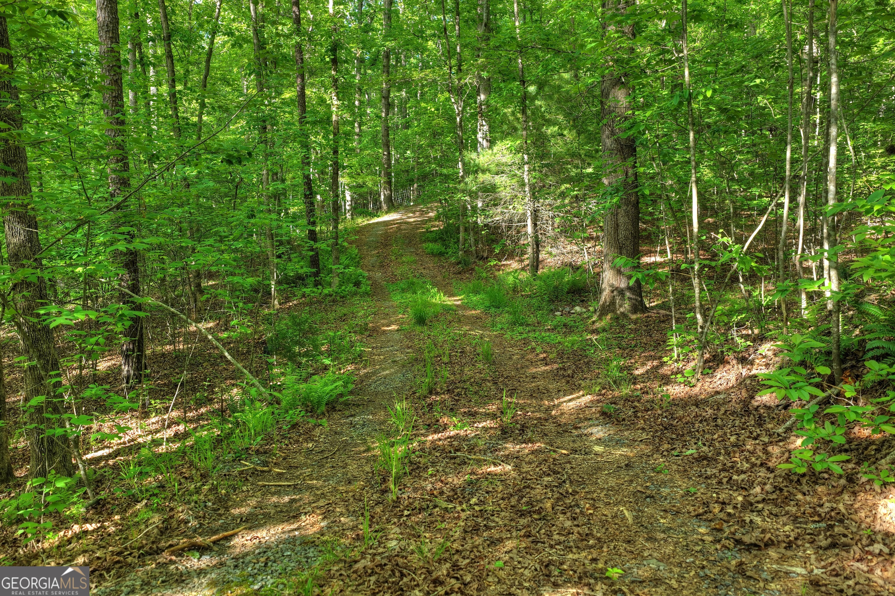 8-ac Mcnelley Road Morganton, GA 30560 - Photo 33 of 47