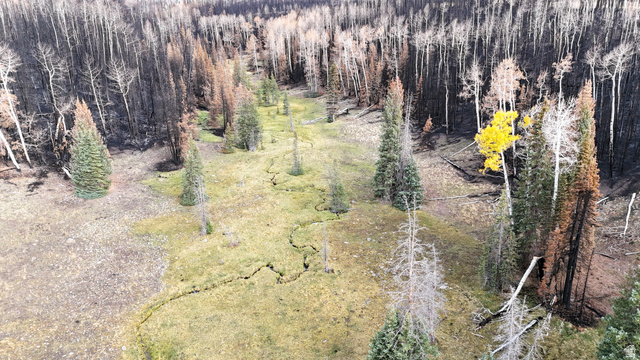 123 Tbd Monroe Canyon Road Monroe, UT 84754 - Photo 54 of 80 Drone / aerial view of a forest