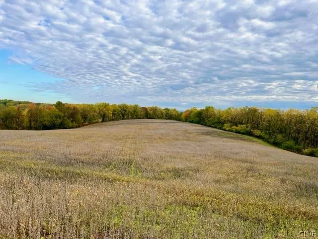 a view of a field with an ocean