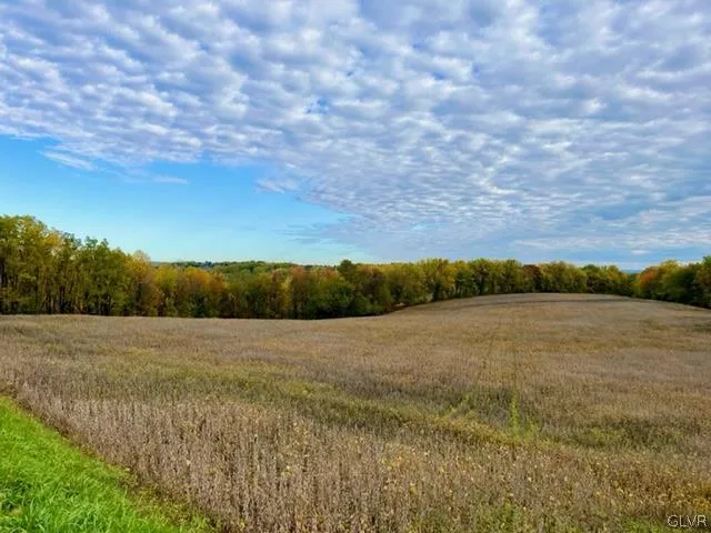a view of an outdoor space and a yard