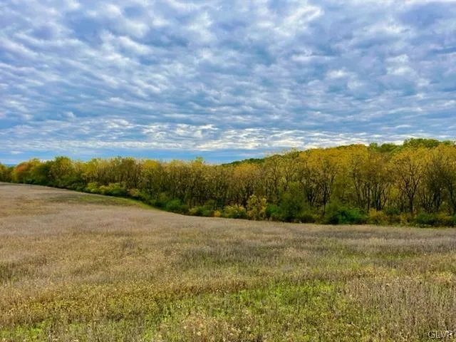 a view of an outdoor space and a yard