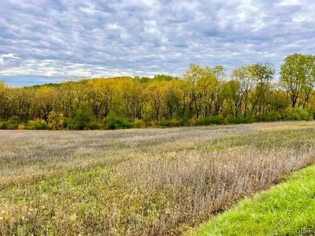 a view of yard with ocean