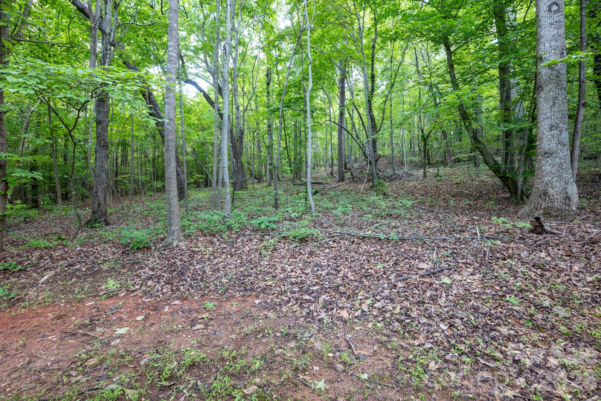 5347 Lewis Road Gastonia, NC 28052 - Photo 28 of 37 Gallery Image 28