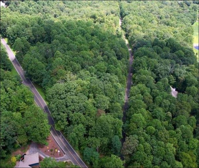 Lot 40 Snap Dragon Way Landrum, SC 29356 - Photo 2 of 6