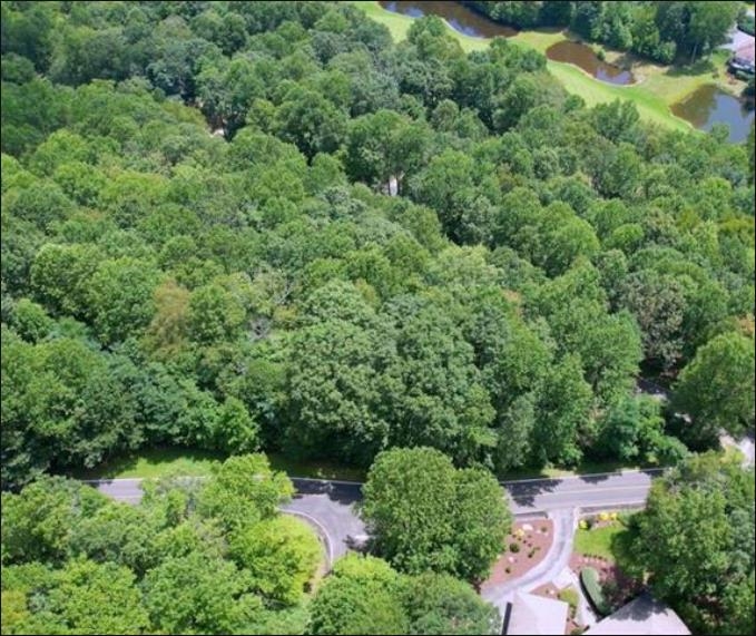 Lot 40 Snap Dragon Way Landrum, SC 29356 - Photo 3 of 6