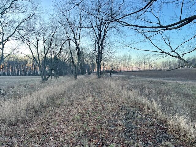 10 10 Mile Road Lakeview, MI 48850 - Photo 8 of 12