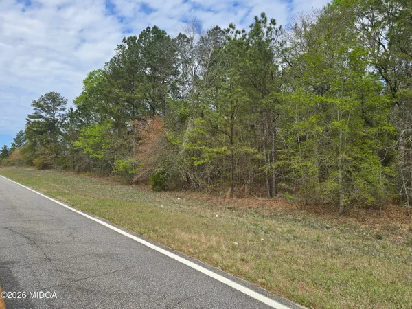 a view of a yard with a tree