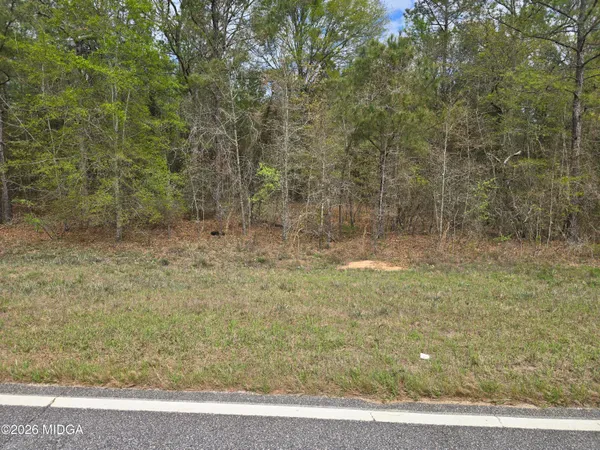 a view of open area with green space