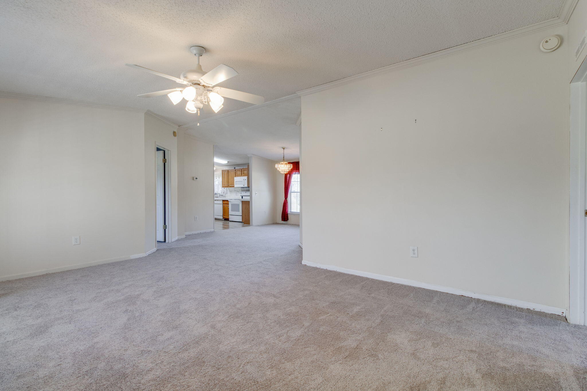 1091 Eliason Road Alcolu, SC 29001 - Photo 6 of 49