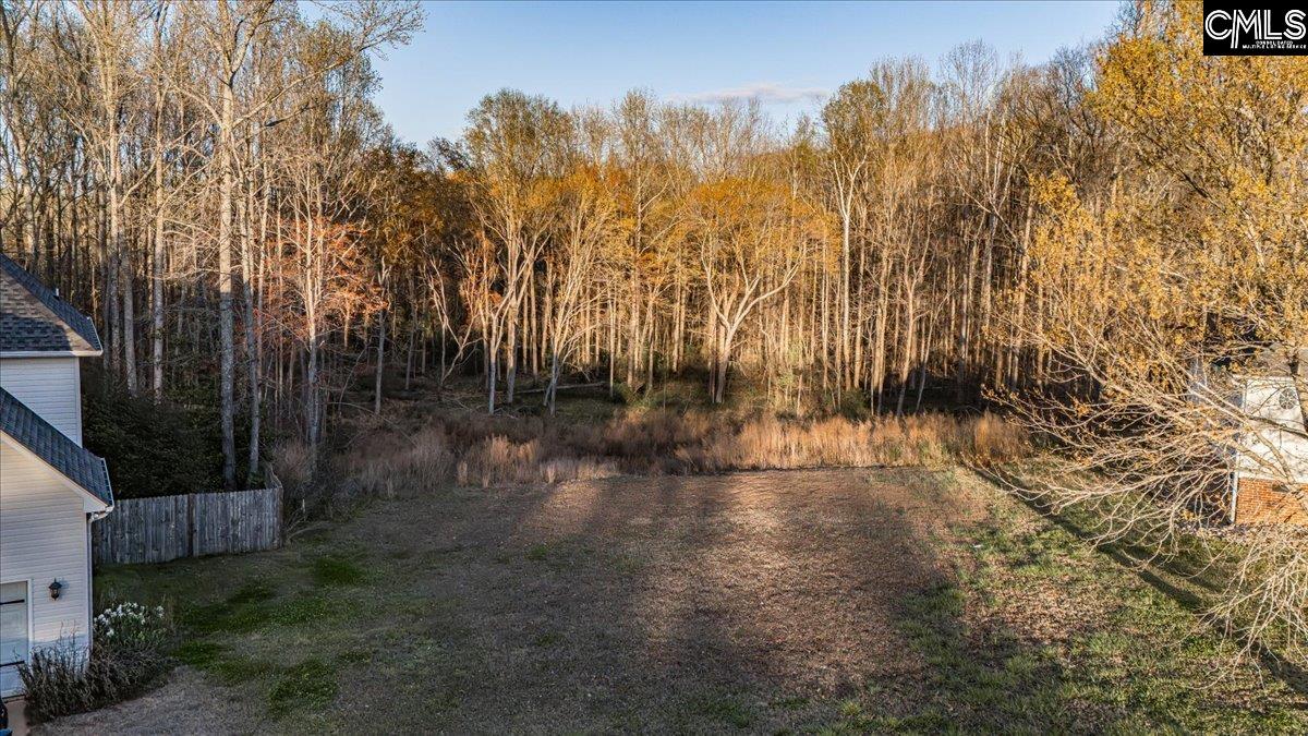 420 Lightwood Farm Road Woodruff, SC 29388 - Photo 10 of 12
