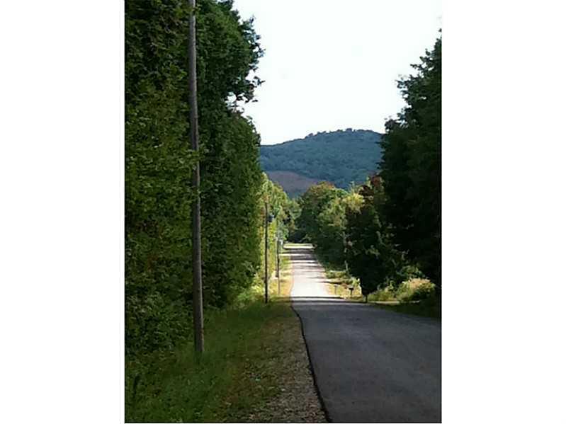 0 Hart Road Northport, ME 04849 - Photo 4 of 5 Other. Hart Road looking South. Land...