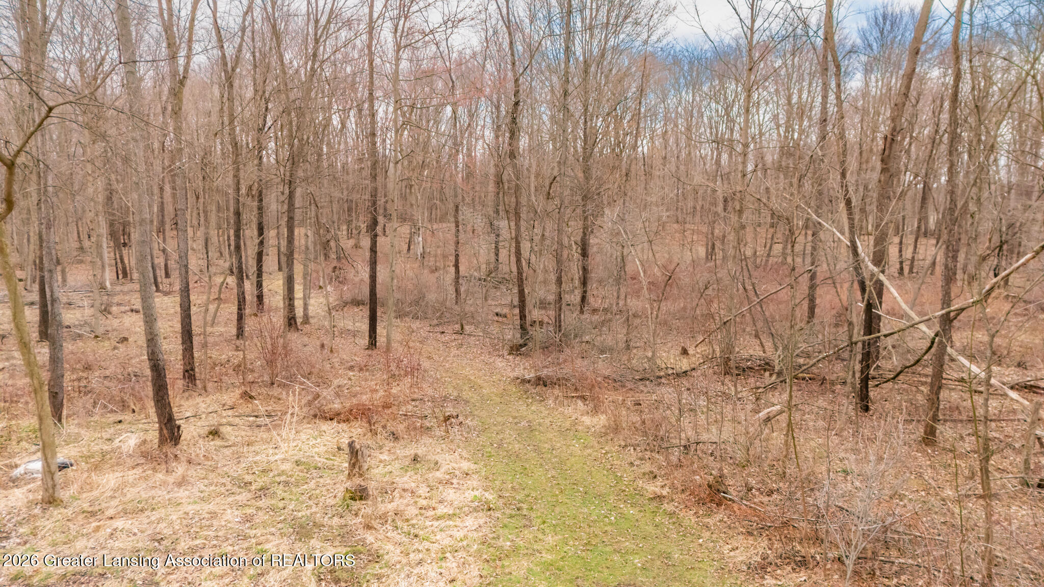 7741 South Cochran Road Olivet, MI 49076 - Photo 53 of 64 7741SCochran59