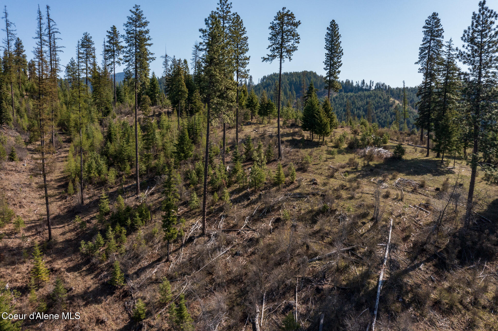 262 Ac North Side Road Calder, ID 83808 - Photo 37 of 72 NWLL Herrick-28