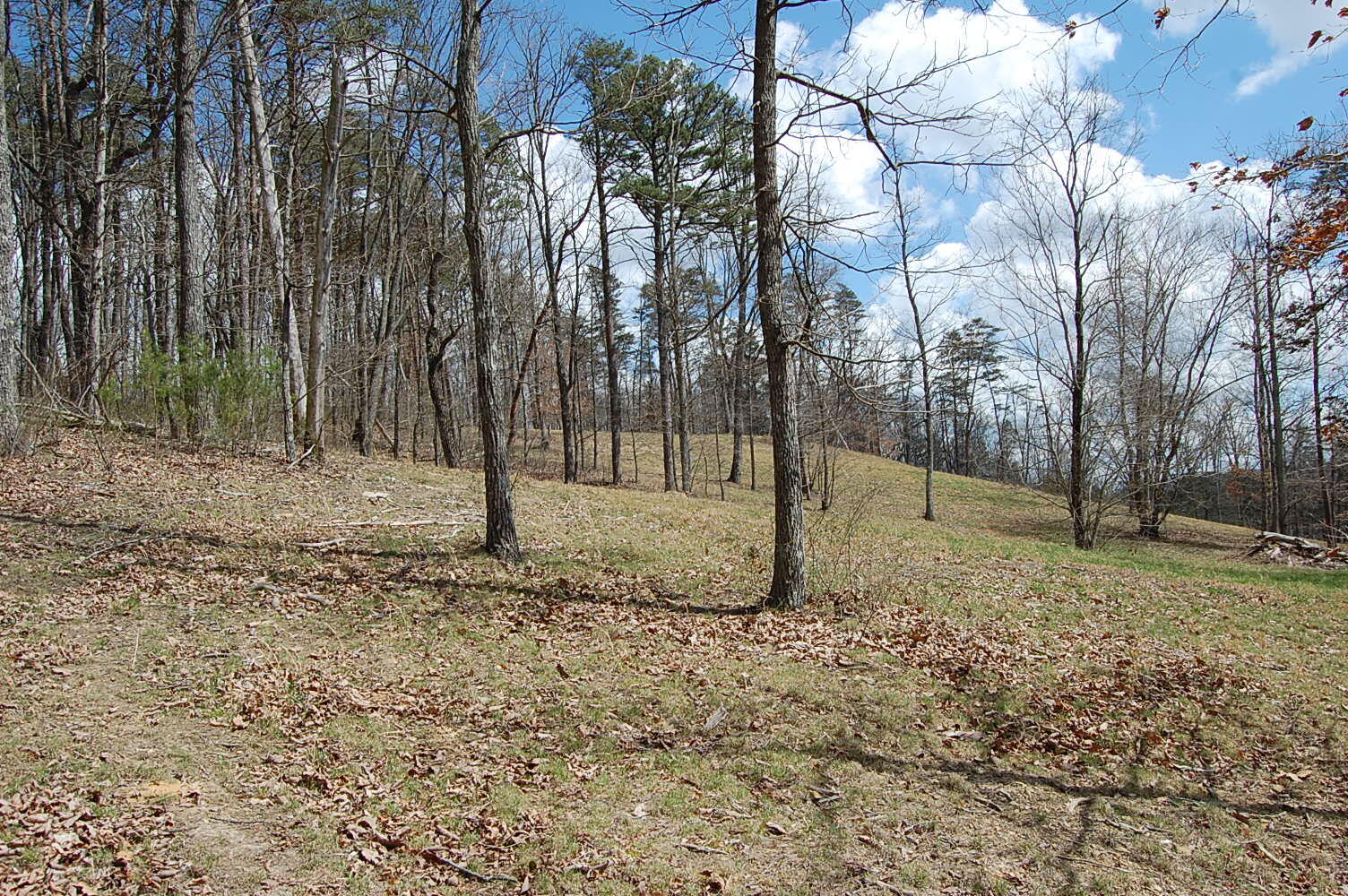 0 Bennie Camp Road Dunlap, TN 37327 - Photo 11 of 32 DSC_0010