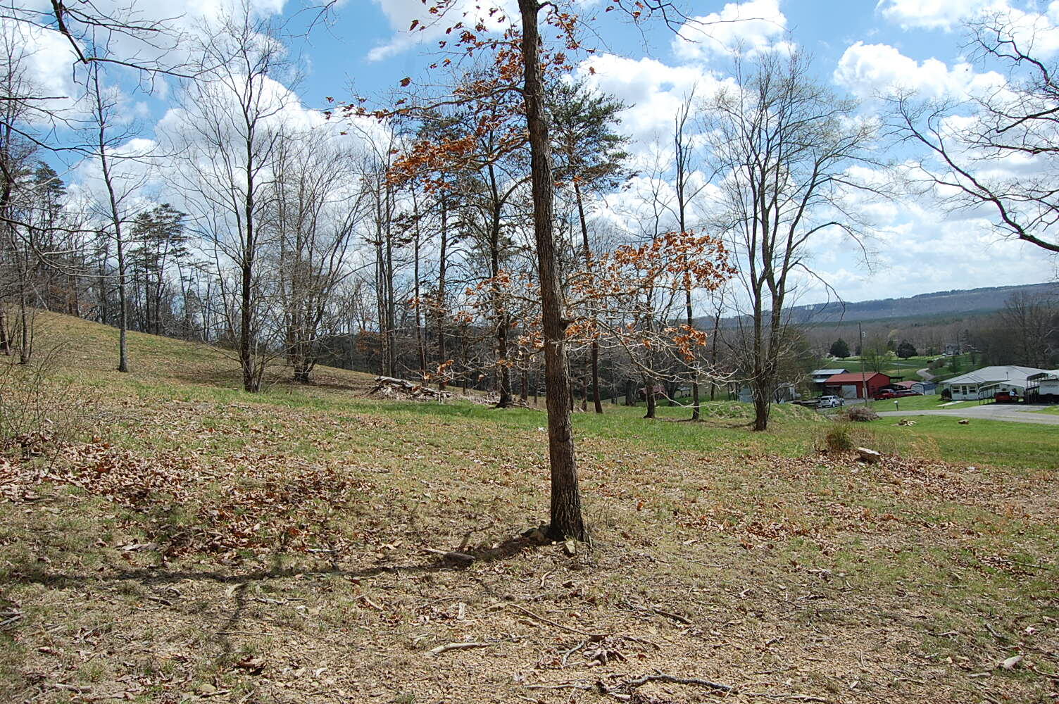 0 Bennie Camp Road Dunlap, TN 37327 - Photo 12 of 32 DSC_0011