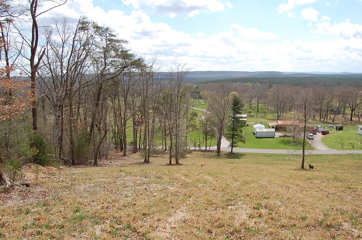 0 Bennie Camp Road Dunlap, TN 37327 - Photo 22 of 32 DSC_0022