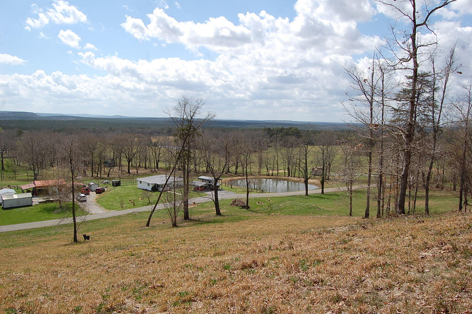 0 Bennie Camp Road Dunlap, TN 37327 - Photo 23 of 32 DSC_0023