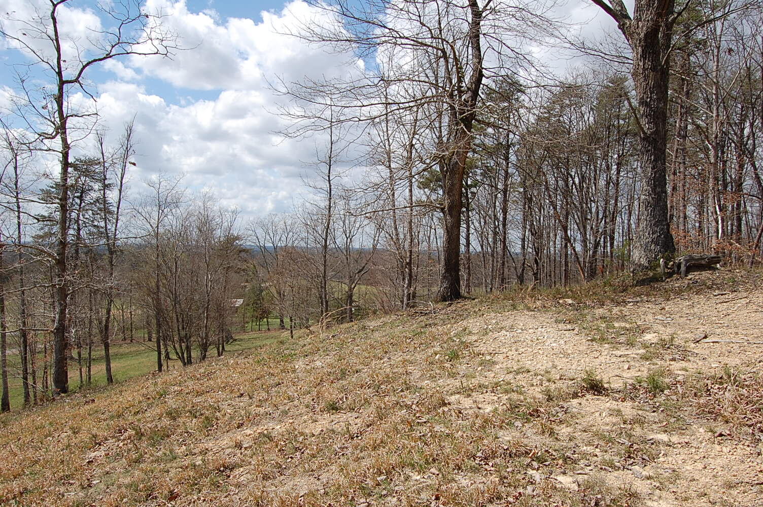 0 Bennie Camp Road Dunlap, TN 37327 - Photo 24 of 32 DSC_0024