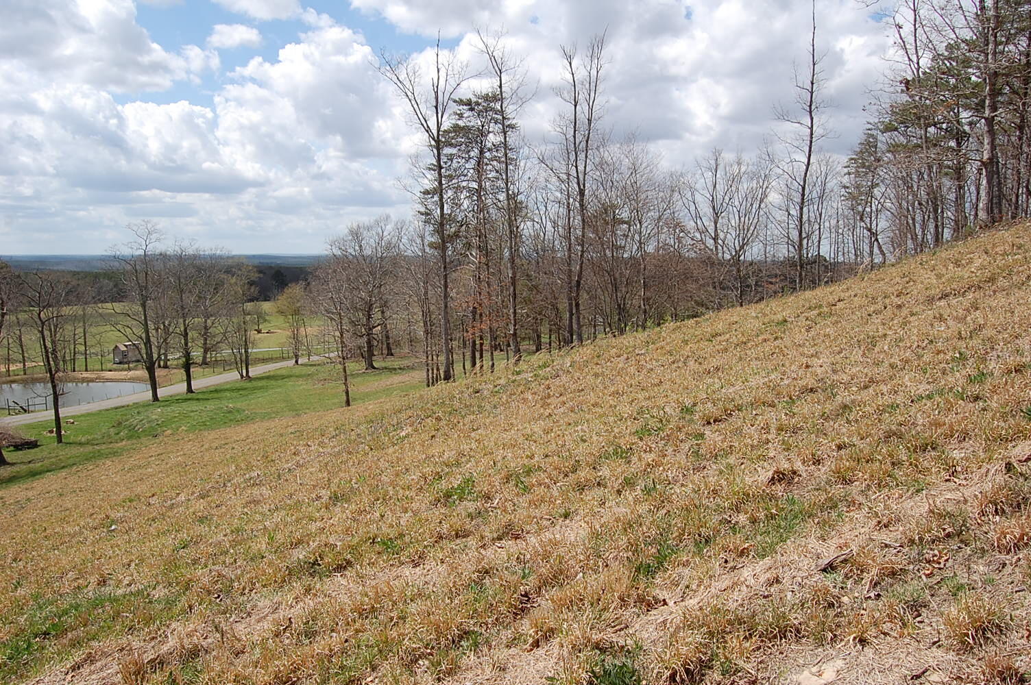 0 Bennie Camp Road Dunlap, TN 37327 - Photo 27 of 32 DSC_0027