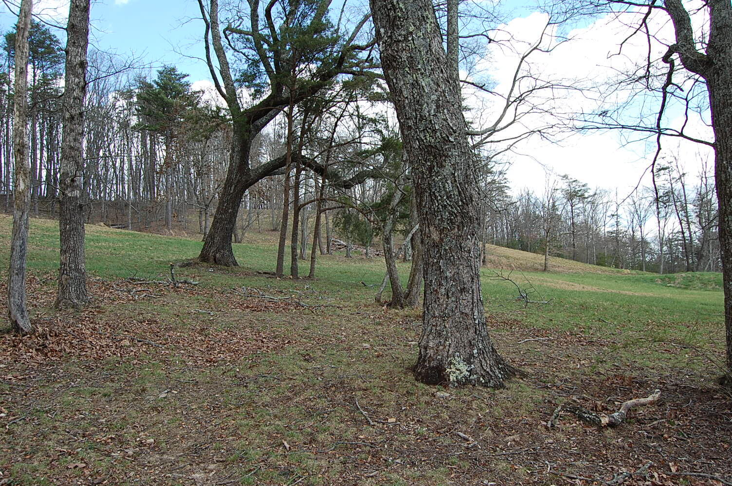 0 Bennie Camp Road Dunlap, TN 37327 - Photo 9 of 32 DSC_0008
