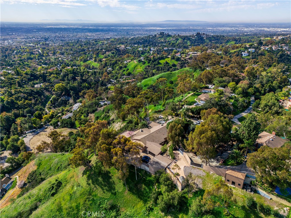 a view of a city with lush green forest
