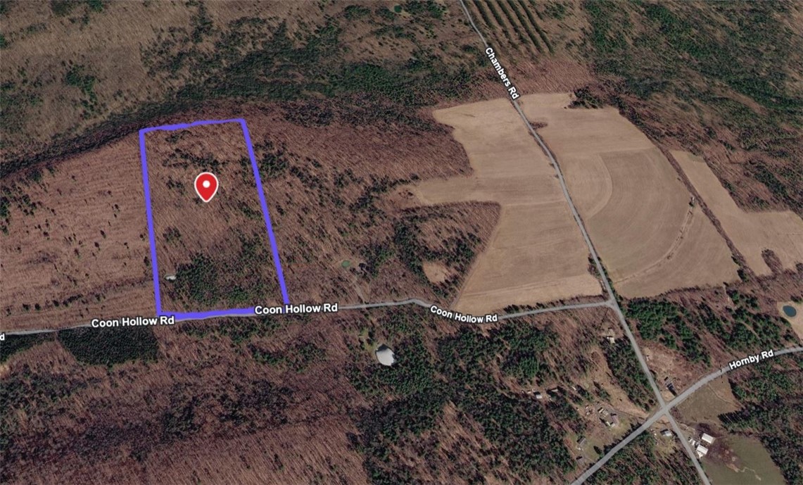 1667 Coon Hollow Road Orange, NY 14812 - Photo 22 of 41 Aerial view