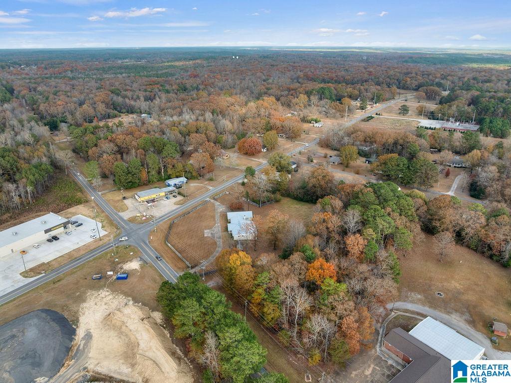 2366 North Walston Bridge Road Jasper, AL 35504 - Photo 45 of 52