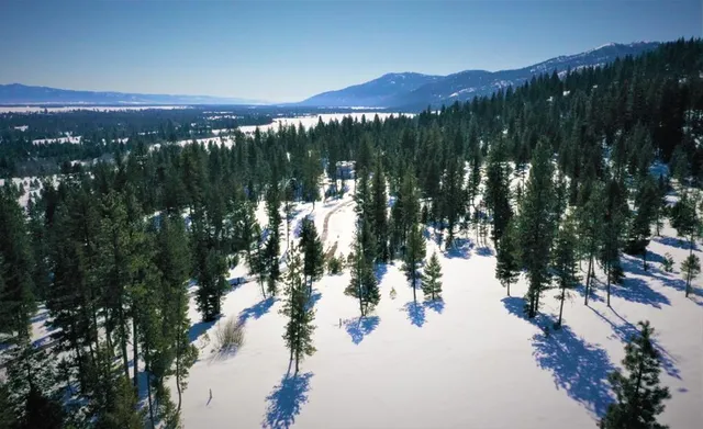 $355,000 | Lot 7 Bella View Drive, Unit 7, McCall, ID 83638