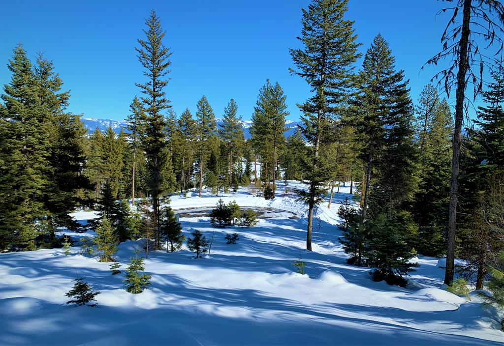 Lot 7 Bella View Drive, Unit 7 McCall, ID 83638 - Photo 24 of 38 Lot 6