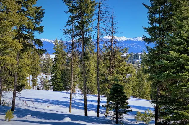 $355,000 | Lot 7 Bella View Drive, Unit 7, McCall, ID 83638