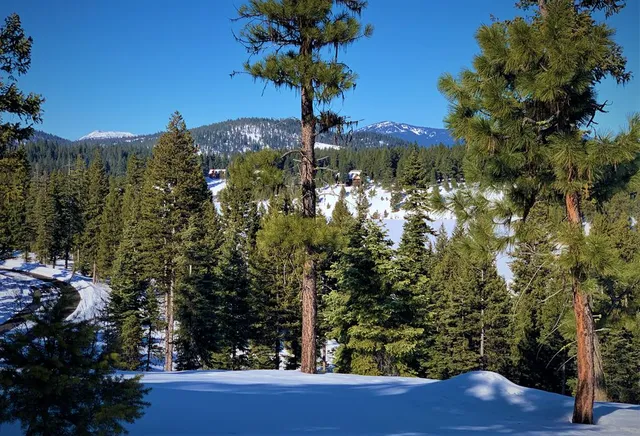 $355,000 | Lot 7 Bella View Drive, Unit 7, McCall, ID 83638