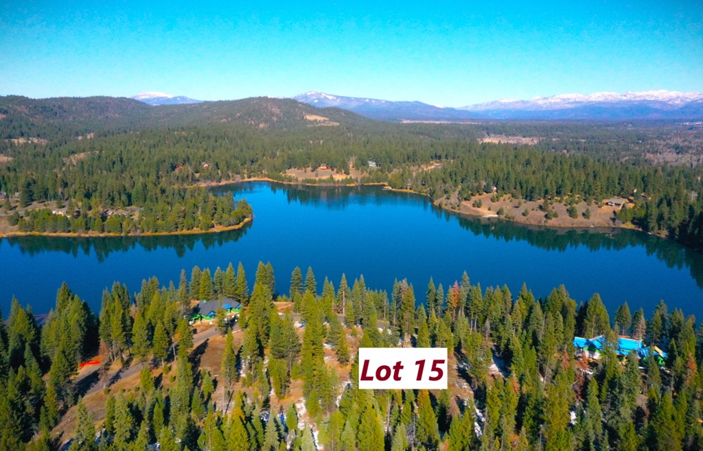 Lot 7 Bella View Drive, Unit 7 McCall, ID 83638 - Photo 5 of 38