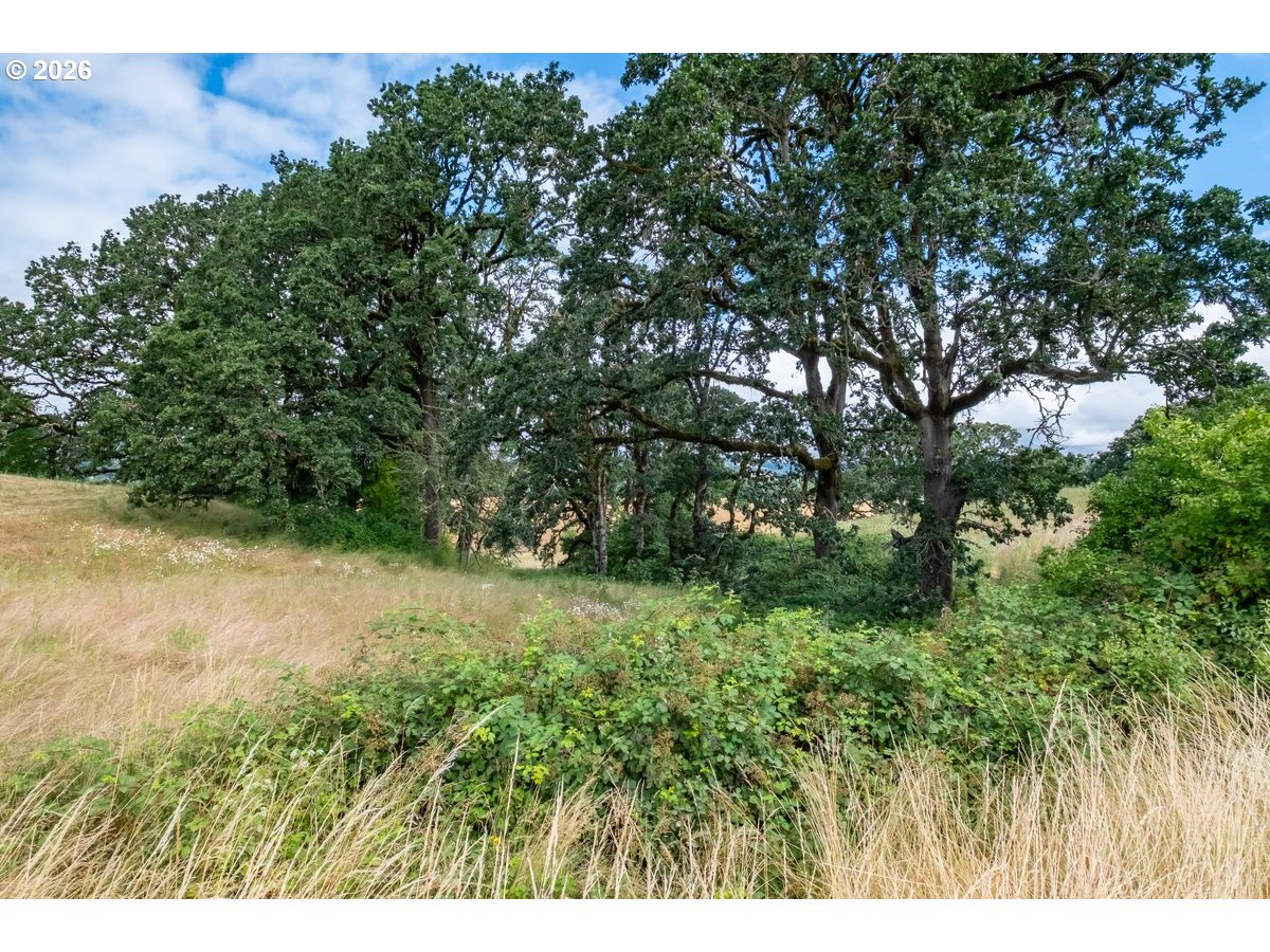 21095 Savage Road Sheridan, OR 97378 - Photo 39 of 43