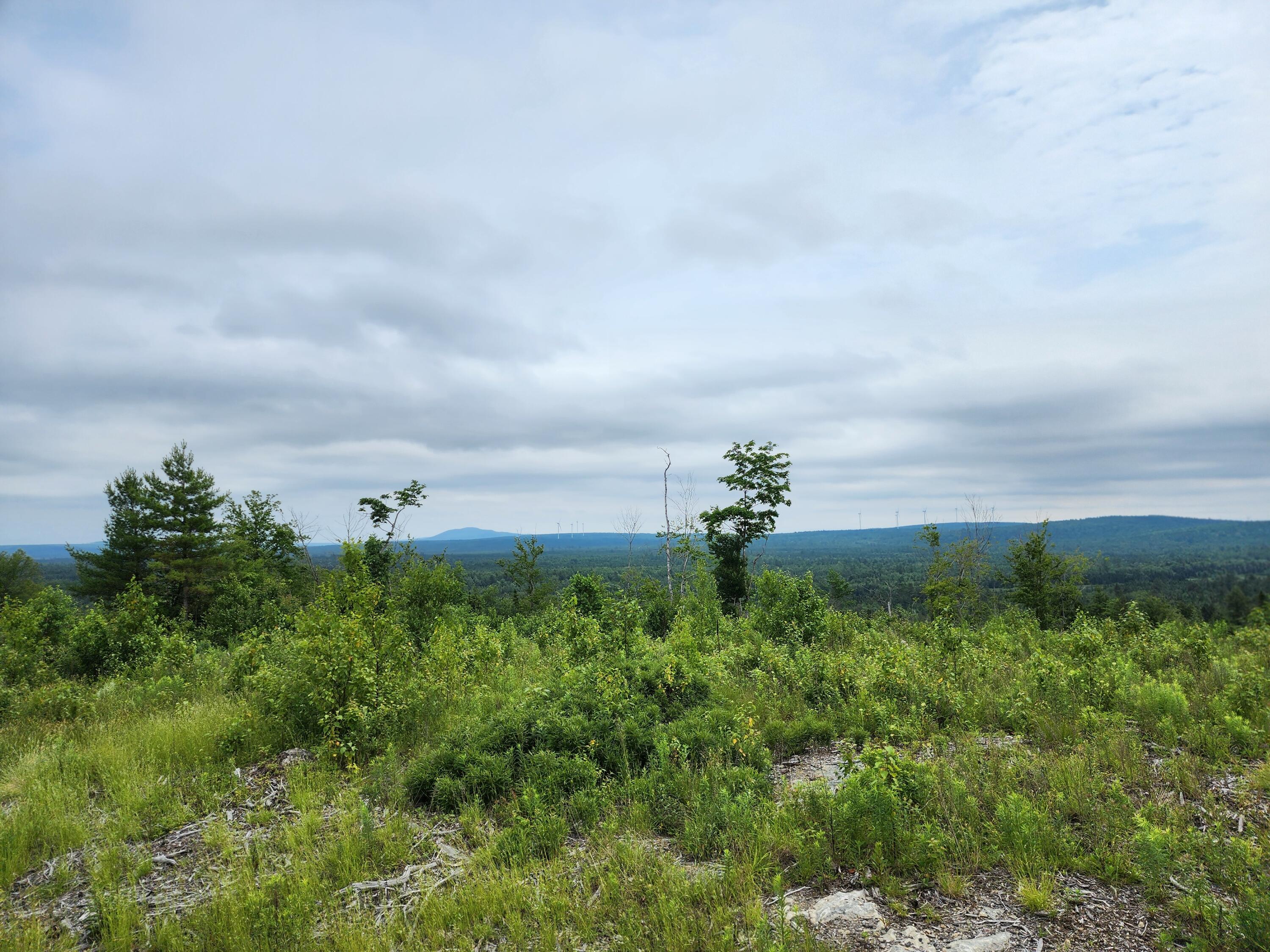 213 Moose Hl Road Ellsworth, ME 04605 - Photo 30 of 34 20250701_115248