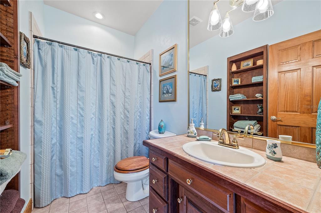 1376 Southwest Riverside Avenue Fort White, FL 32038 - Photo 20 of 40 a bathroom with a sink a toilet and shower