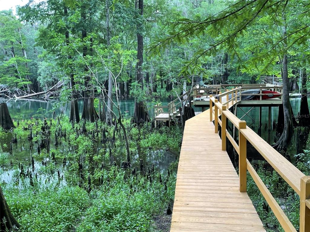 1376 Southwest Riverside Avenue Fort White, FL 32038 - Photo 2 of 40 a lake view with a wooden floor and trees