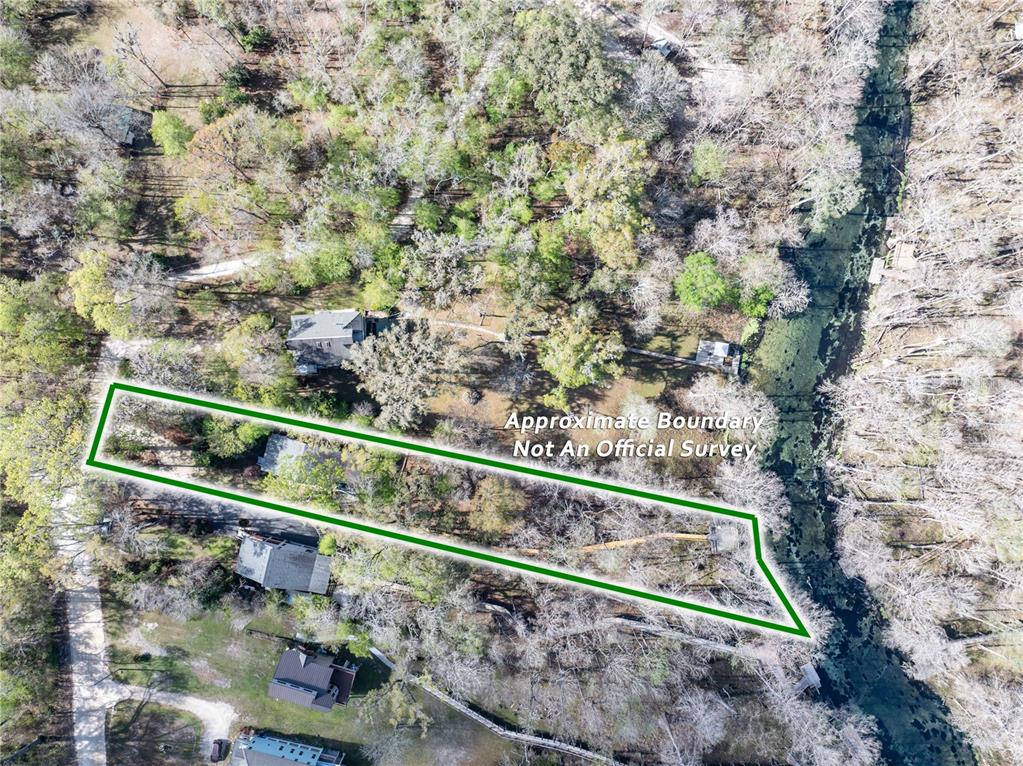 1376 Southwest Riverside Avenue Fort White, FL 32038 - Photo 29 of 40 a view of outdoor space