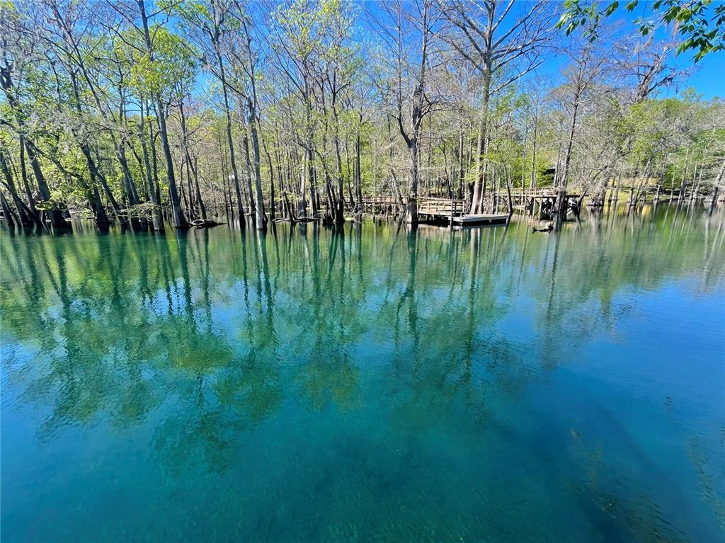 1376 Southwest Riverside Avenue Fort White, FL 32038 - Photo 37 of 40 a view of lake with green space