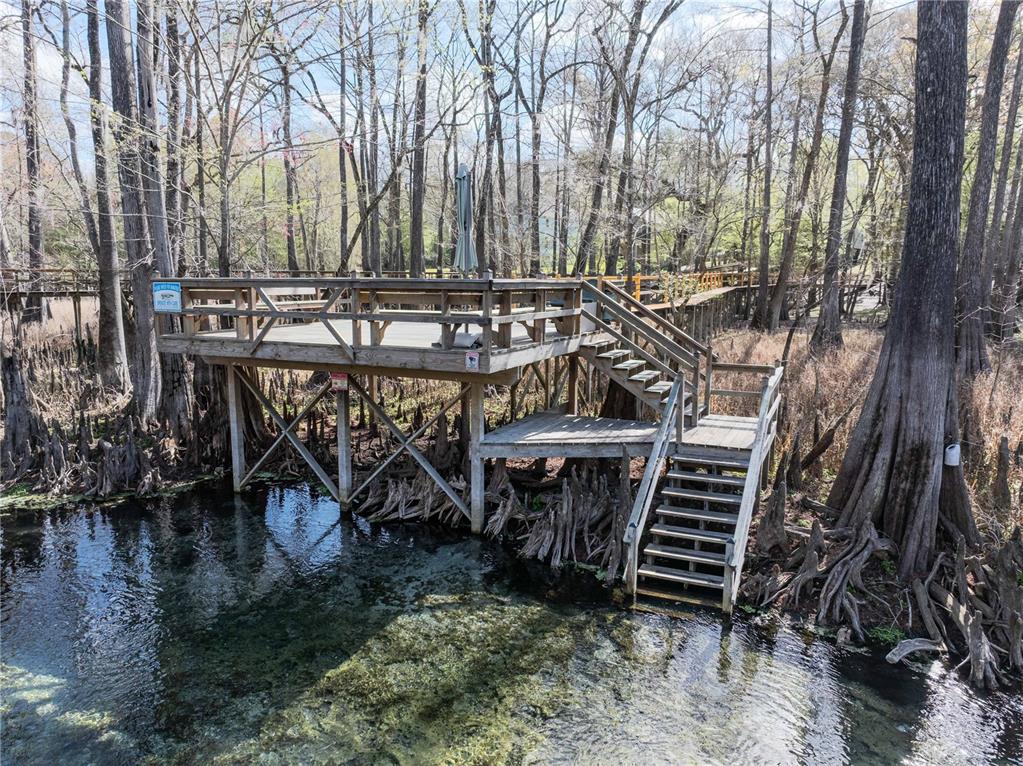 1376 Southwest Riverside Avenue Fort White, FL 32038 - Photo 10 of 40 a view of a chairs and table in the backyard