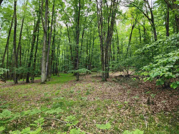 $19,900 | 2145 Elkhorn Way, Farwell, MI 48622
