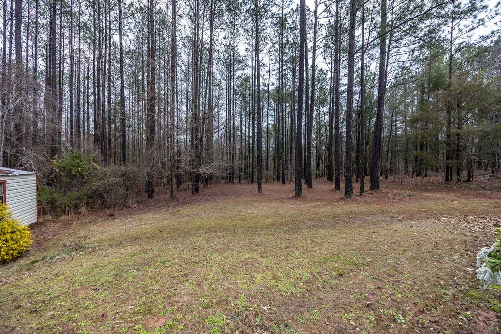 145 Madison Way Ellerslie, GA 31807 - Photo 35 of 37 Gallery Image 35