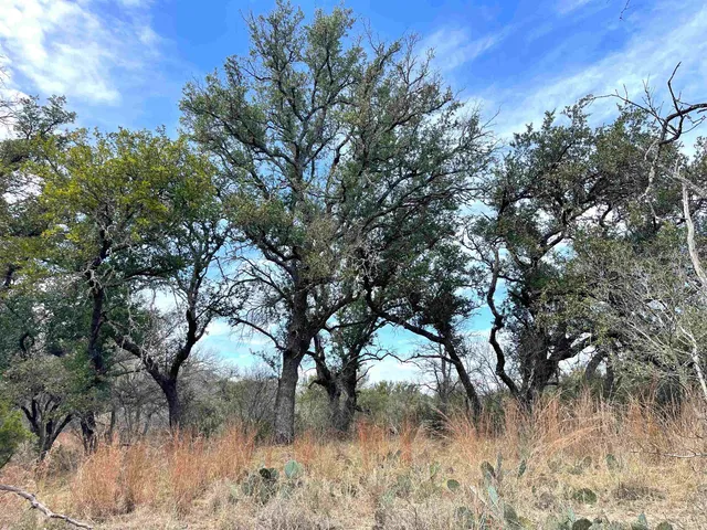 a view of a lake with houses in back