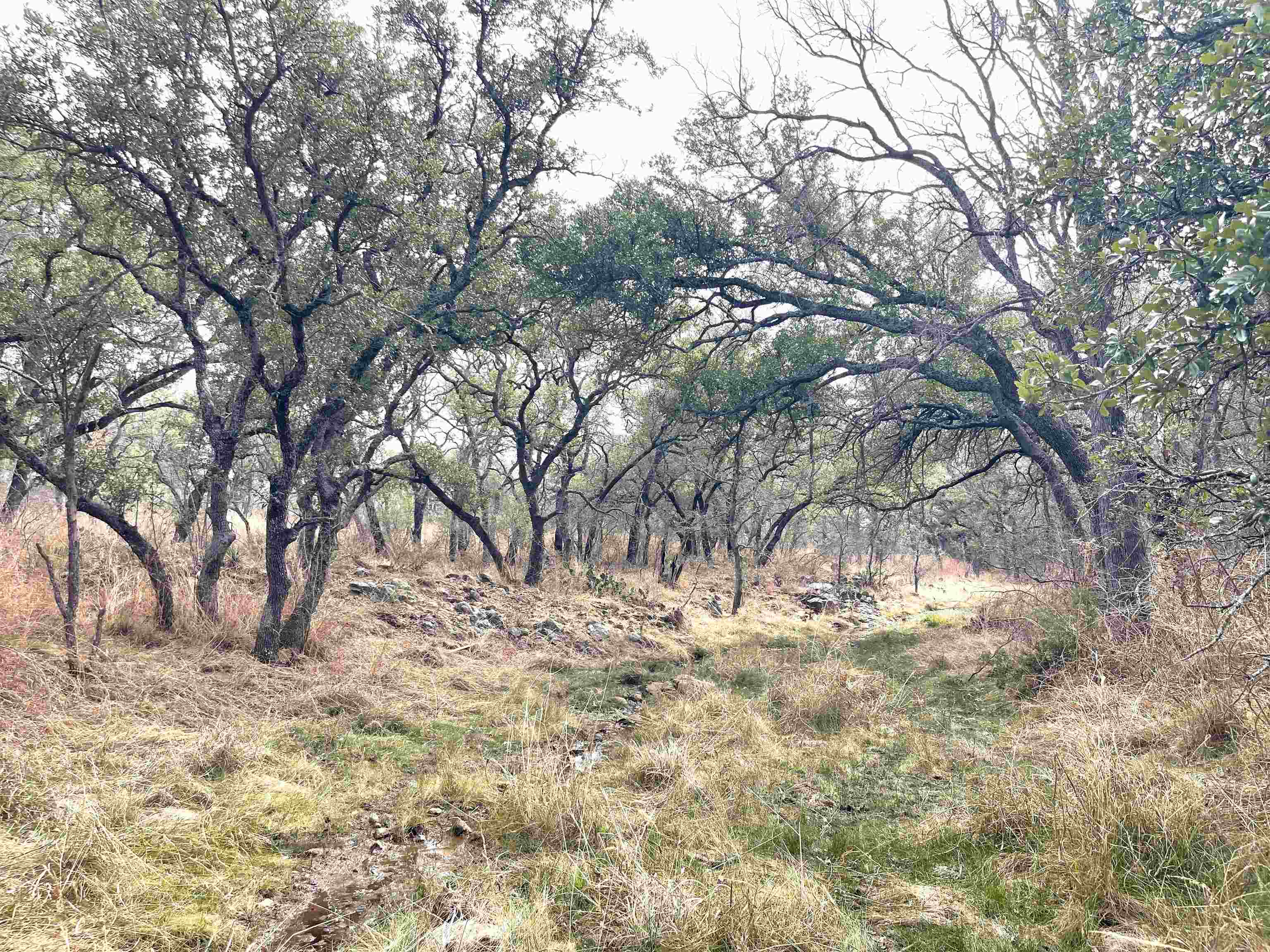 323 Thurman Loop Llano, TX 78643 - Photo 14 of 18 a view of snow on a field