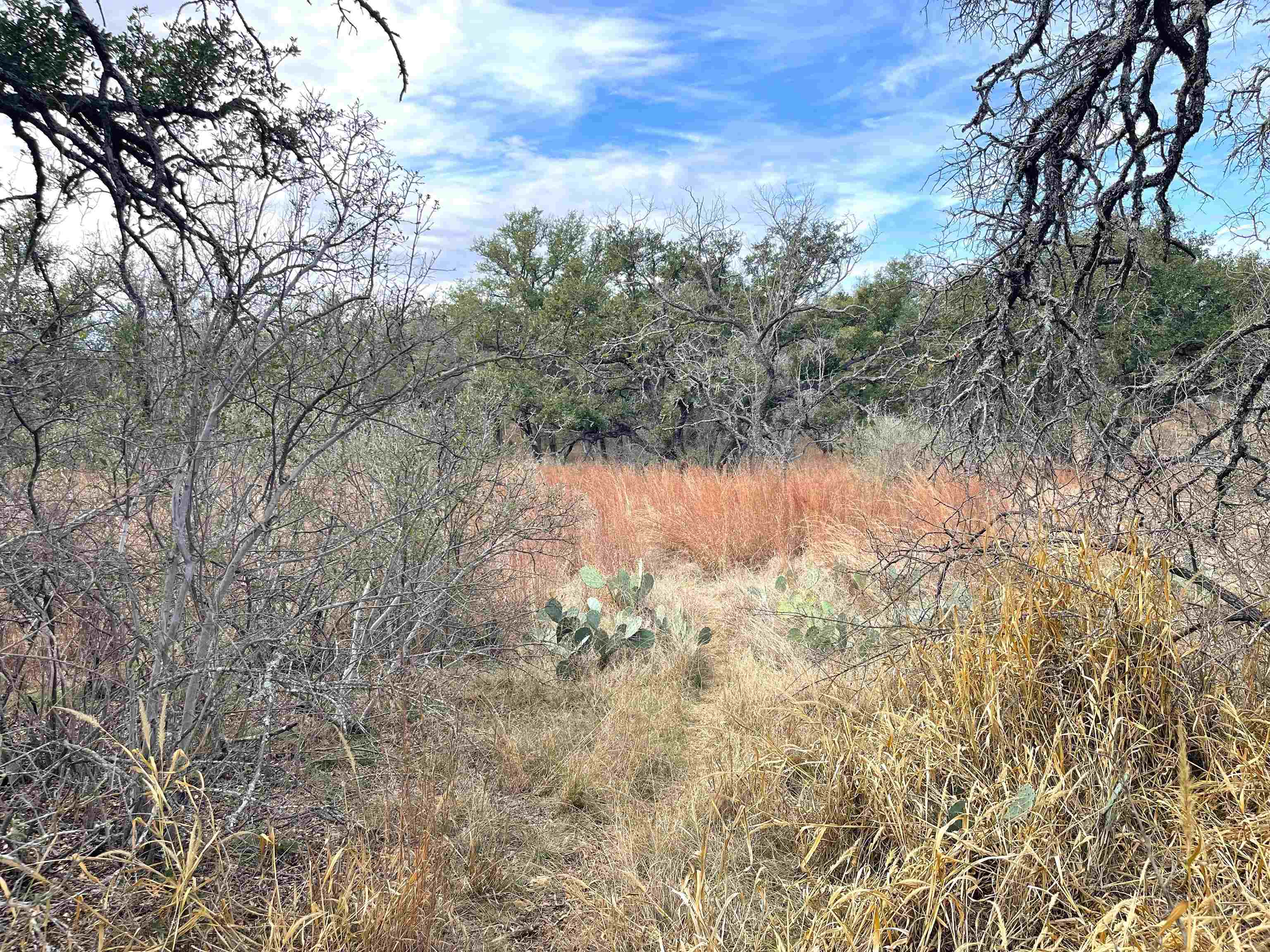 323 Thurman Loop Llano, TX 78643 - Photo 16 of 18 a view of a lake with lots of trees