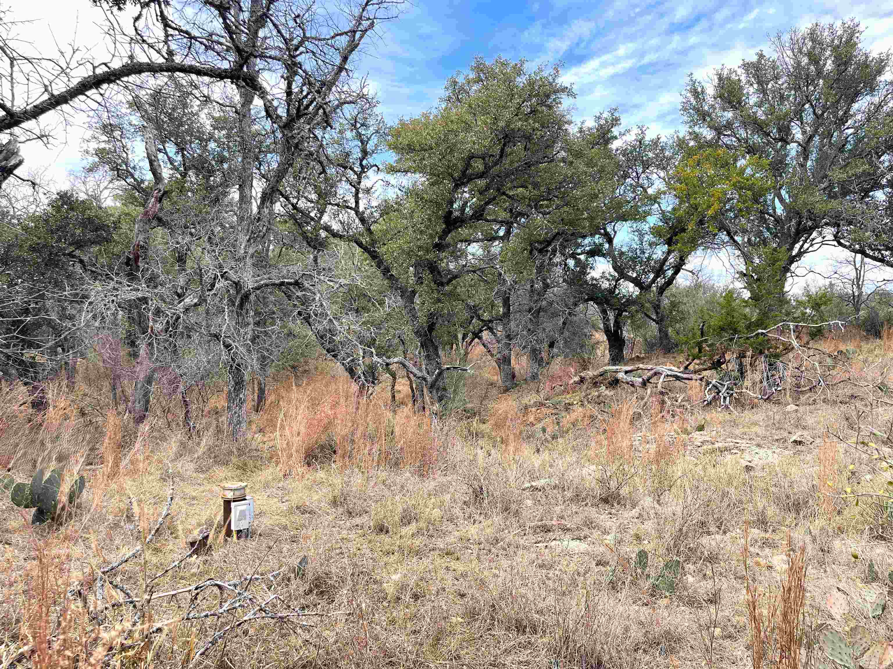 323 Thurman Loop Llano, TX 78643 - Photo 17 of 18 a view of a yard with a tree