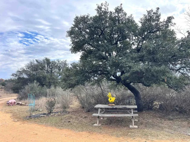 a park view with a bench