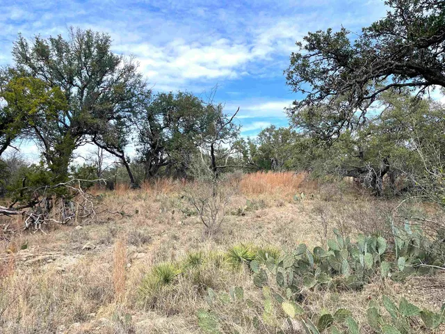a view of a yard with a tree