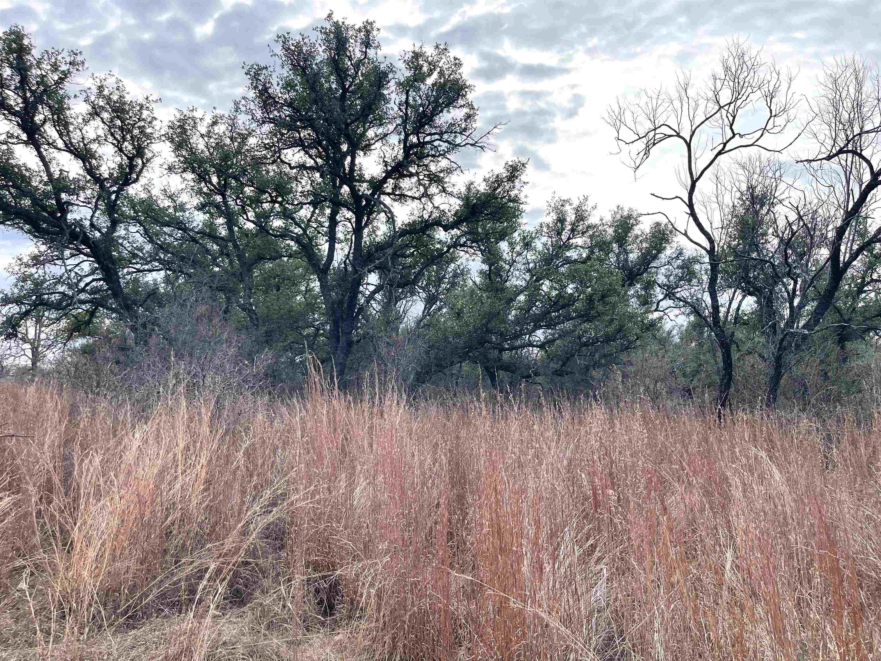 323 Thurman Loop Llano, TX 78643 - Photo 9 of 18 a view of a lake with a trees in the background